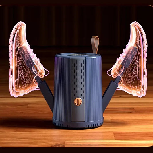 Electric Shoe Dryer